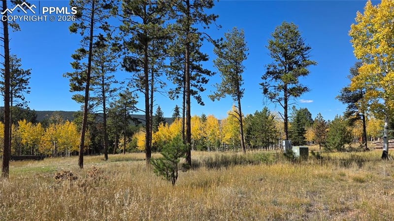210 Bridlewood Ln, Woodland Park, CO 80863