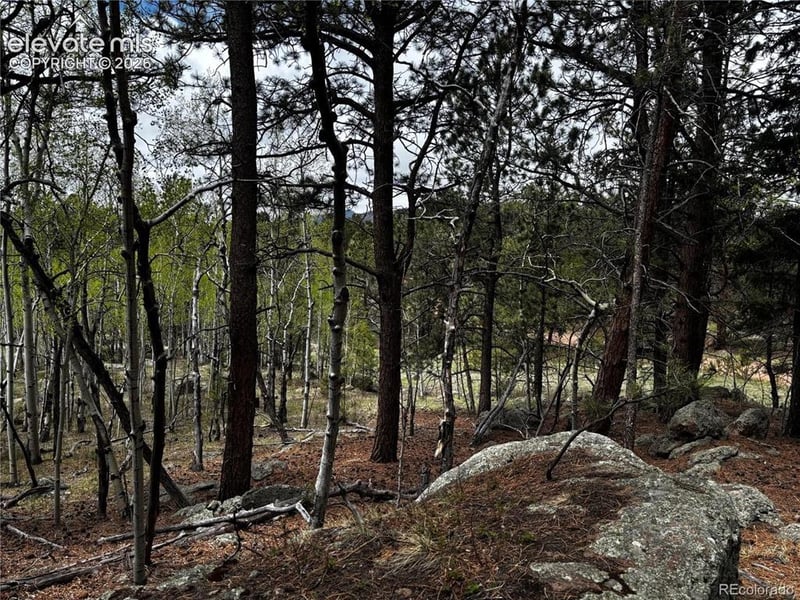 210 Crescent Dr, Florissant, CO 80816