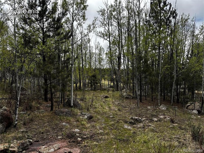 210 Crescent Dr, Florissant, CO 80816