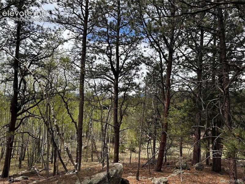 210 Crescent Dr, Florissant, CO 80816