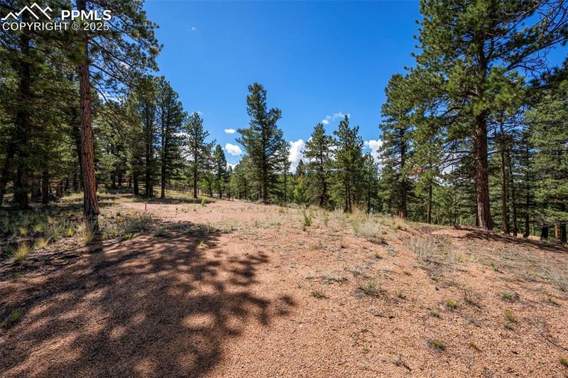 210 Donzi Trl, Florissant, CO 80816