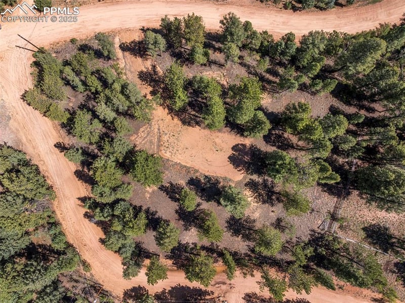 210 Donzi Trl, Florissant, CO 80816