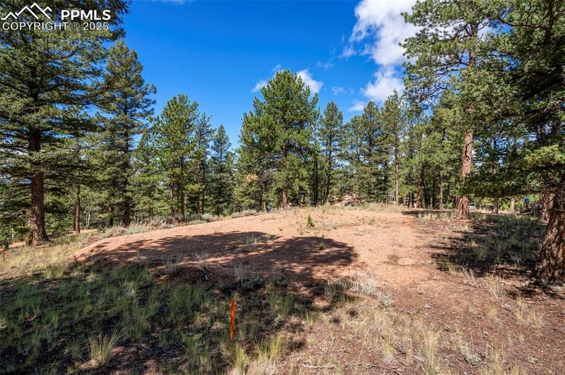 210 Donzi Trl, Florissant, CO 80816