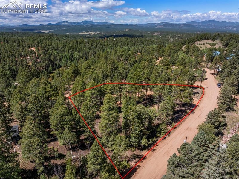 210 Donzi Trl, Florissant, CO 80816