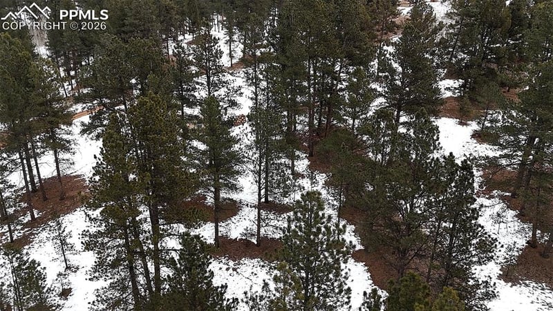 210 Rhyolite Ln, Florissant, CO 80816