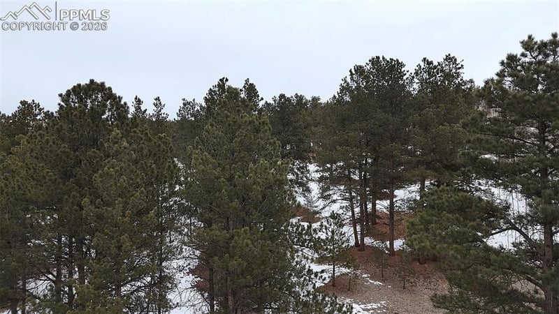 210 Rhyolite Ln, Florissant, CO 80816