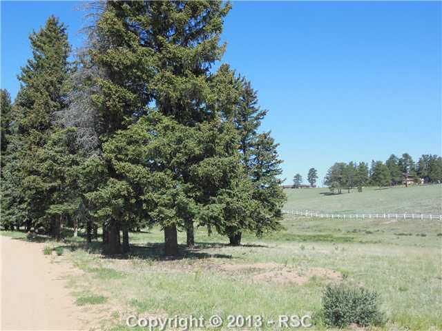 211 Joshua Rd, Divide, CO 80814