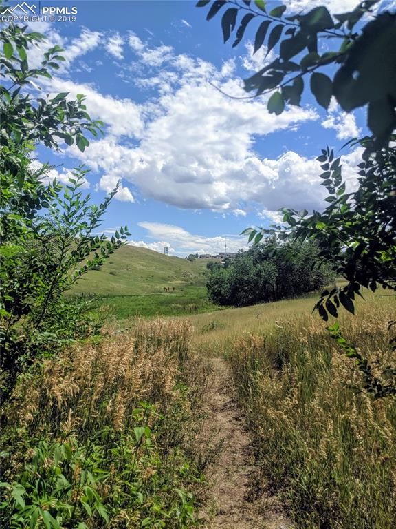 2125 S Hampton, Colorado Springs, CO 80906