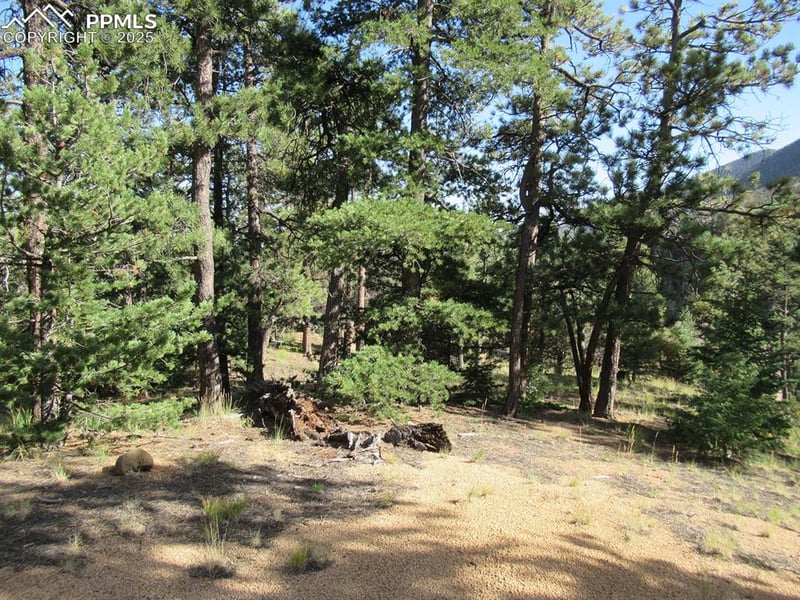 213 Coffee Pot Rd, Manitou Springs, CO 80829