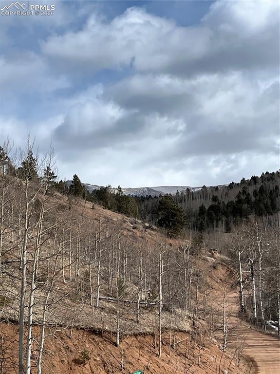 2136 Golden Cycle Cir, Cripple Creek, CO 80813