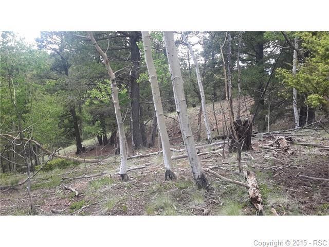 215 Candle Lake Dr, Divide, CO 80814