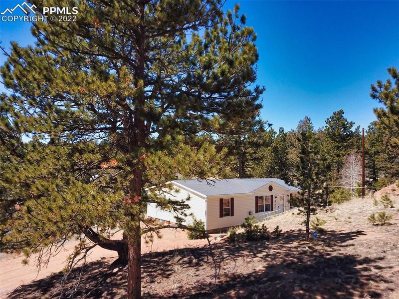 215 Star View Trl, Divide, CO 80814