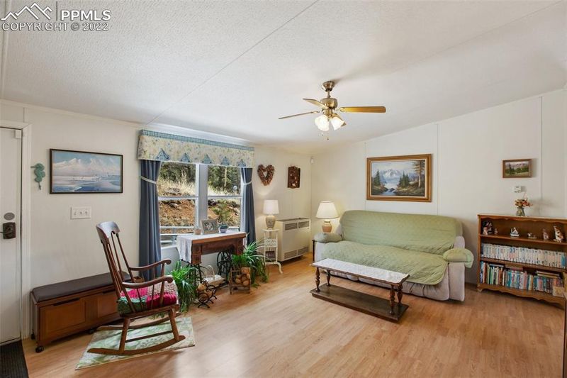 215 Star View Trl, Divide, CO 80814