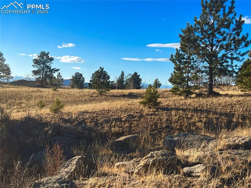 215 Topaz Rd, Lake George, CO 80827
