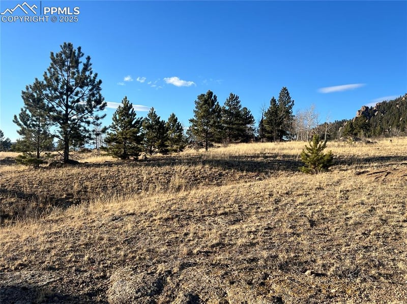 215 Topaz Rd, Lake George, CO 80827