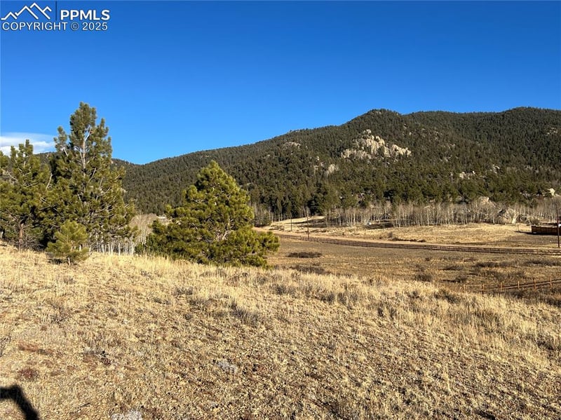 215 Topaz Rd, Lake George, CO 80827
