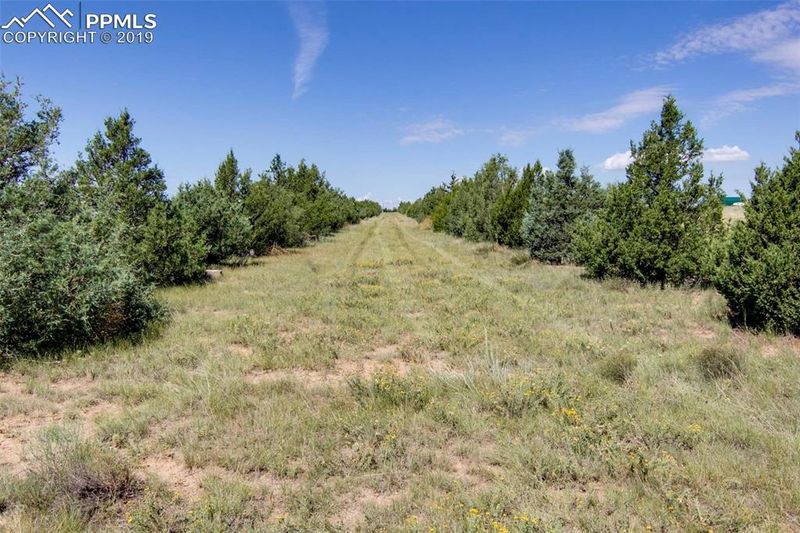 2150 Edison Rd, Yoder, CO 80864