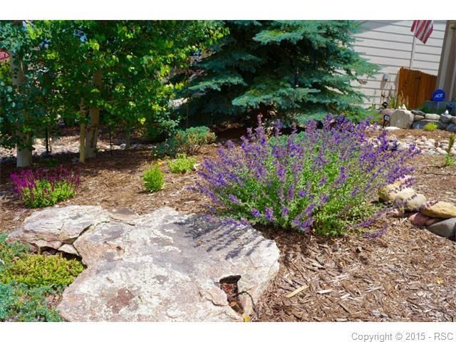 2159 Sage Grouse Ln, Colorado Springs, CO 80951