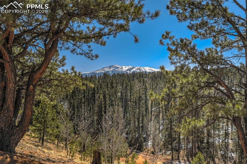 216 Ridge Rd, Divide, CO 80814