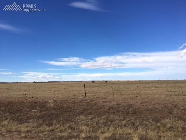 21602 Goldeneagle Dr, Calhan, CO 80808