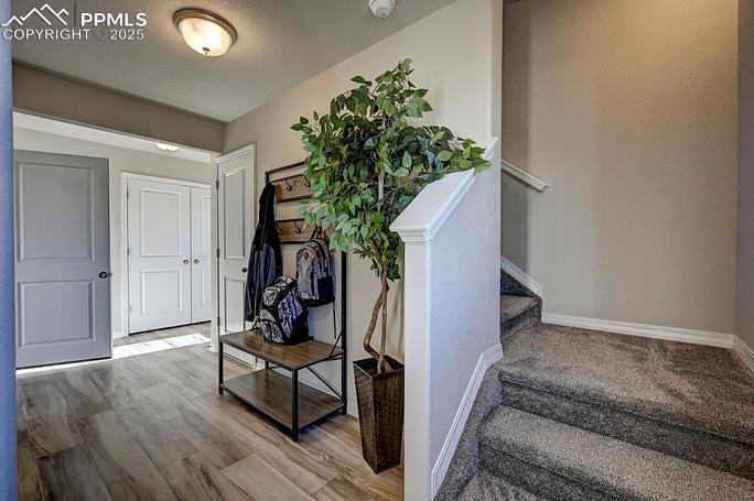 2167 Backpack Point, Colorado Springs, CO 80910