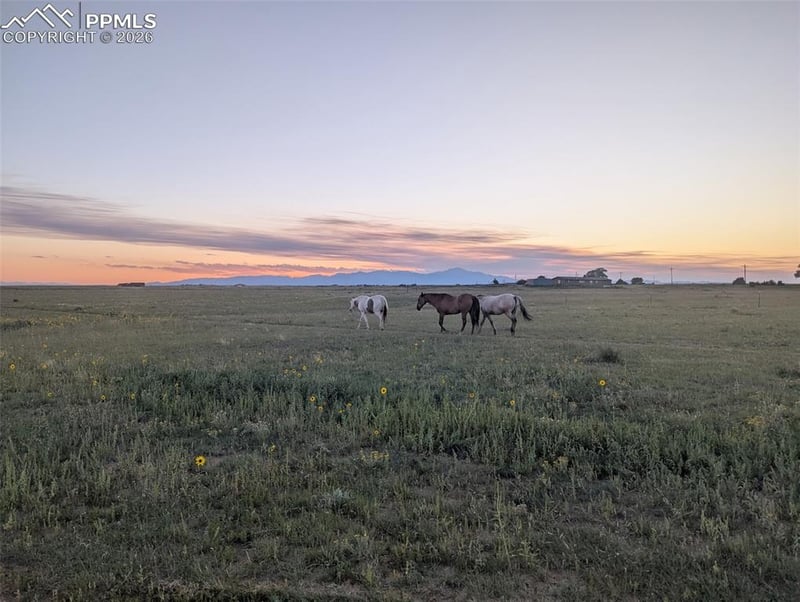 21825 Drennan Rd, Colorado Springs, CO 80928