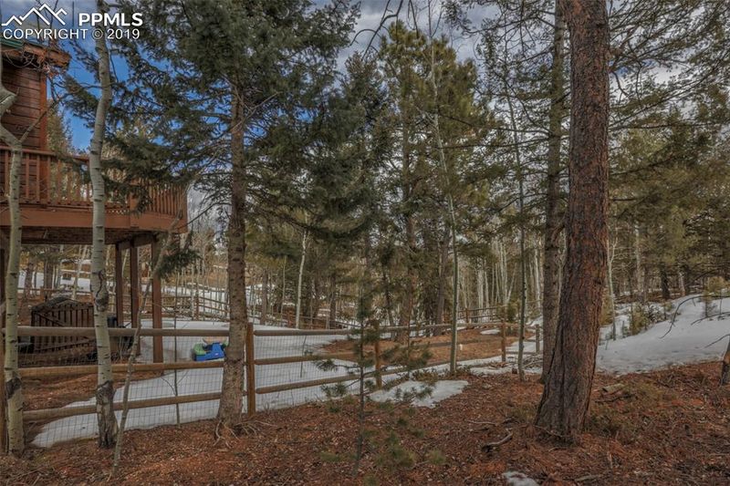 22 Red Cloud Rd, Woodland Park, CO 80863