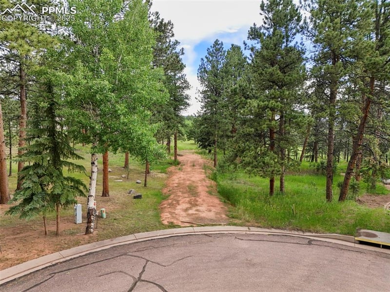 220 Wildrose Ct, Woodland Park, CO 80863