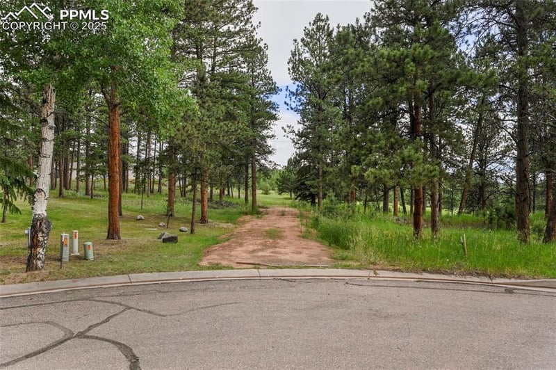 220 Wildrose Ct, Woodland Park, CO 80863