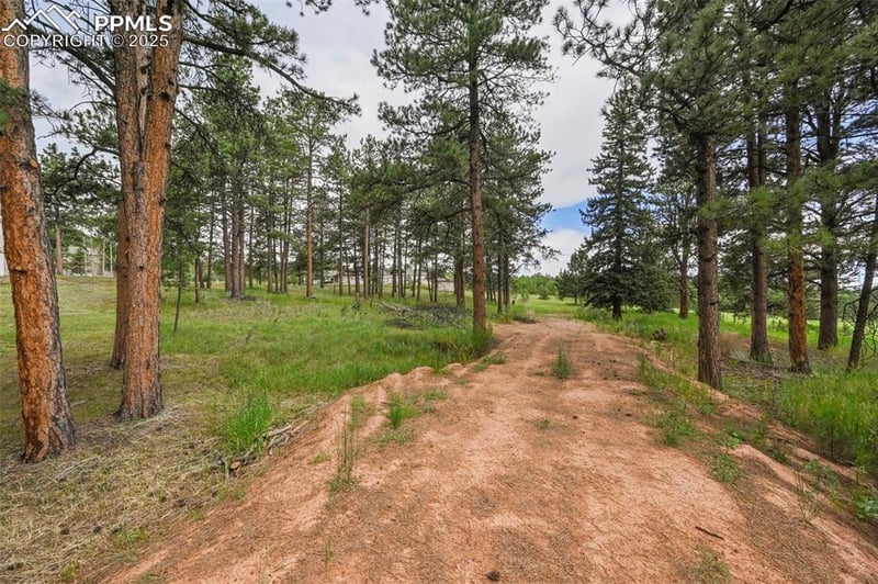 220 Wildrose Ct, Woodland Park, CO 80863