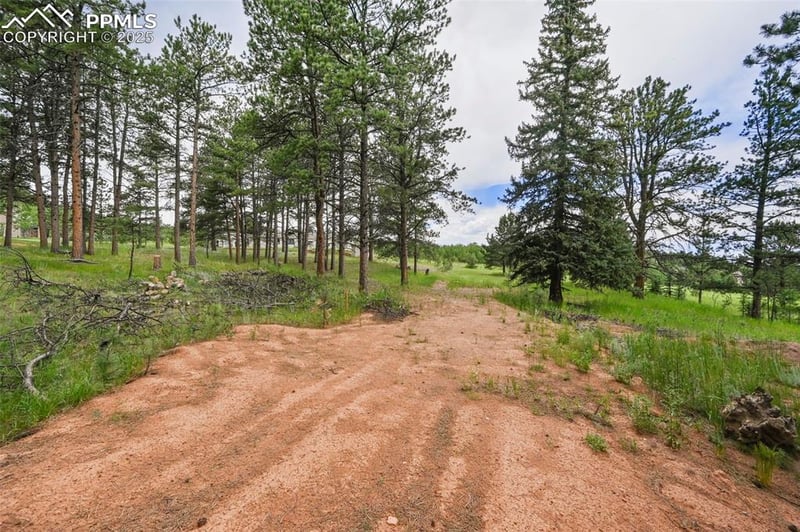 220 Wildrose Ct, Woodland Park, CO 80863