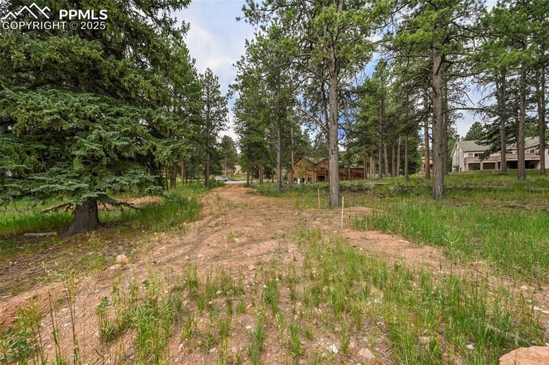 220 Wildrose Ct, Woodland Park, CO 80863