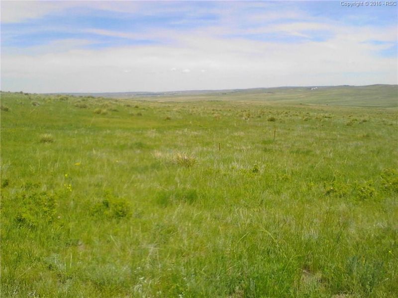 22345 Roxie Ridge Dr, Peyton, CO 80831