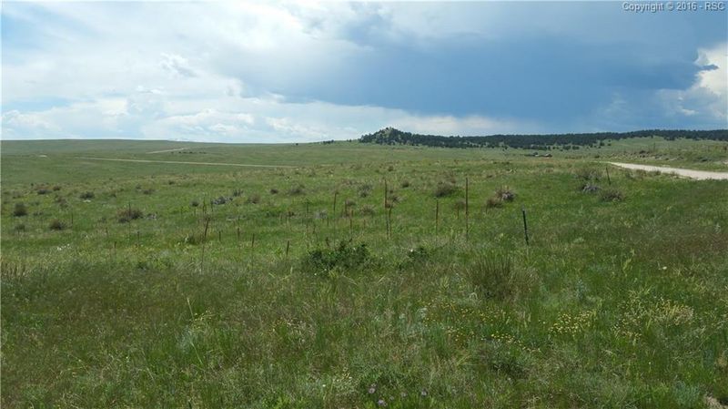 22345 Roxie Ridge Dr, Peyton, CO 80831