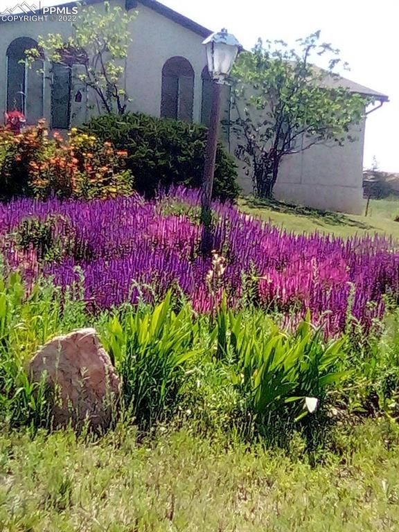 2235 Shrider Rd, Colorado Springs, CO 80920