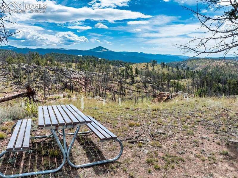 224 Chapparal Trl, Florissant, CO 80816