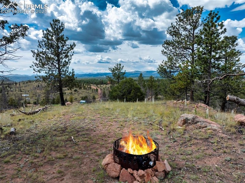 224 Chapparal Trl, Florissant, CO 80816