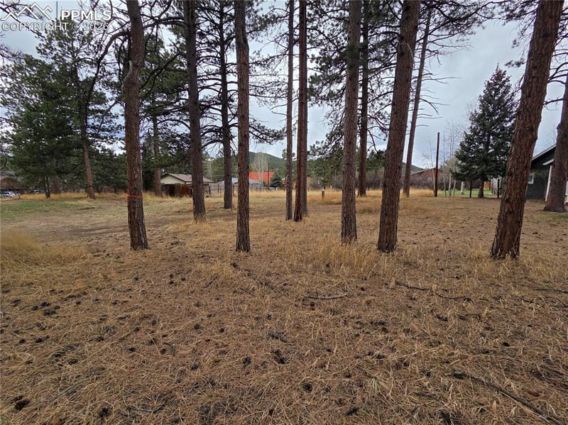 224 Fairview St, Woodland Park, CO 80863