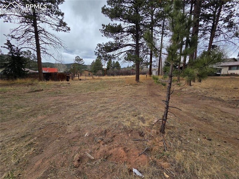 224 Fairview St, Woodland Park, CO 80863