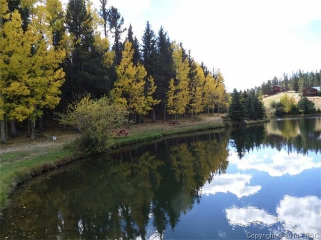 224 Pinewood Cir, Divide, CO 80814
