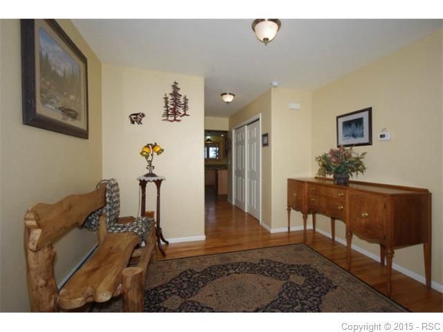 224 Pinewood Cir, Divide, CO 80814
