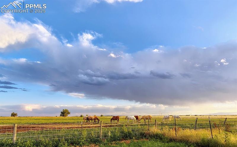 22445 Jones Rd, Calhan, CO 80808