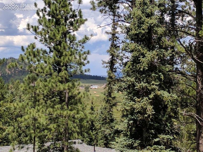 225 Iron Eagle Point, Woodland Park, CO 80863