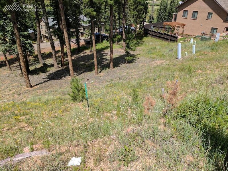 225 Iron Eagle Point, Woodland Park, CO 80863