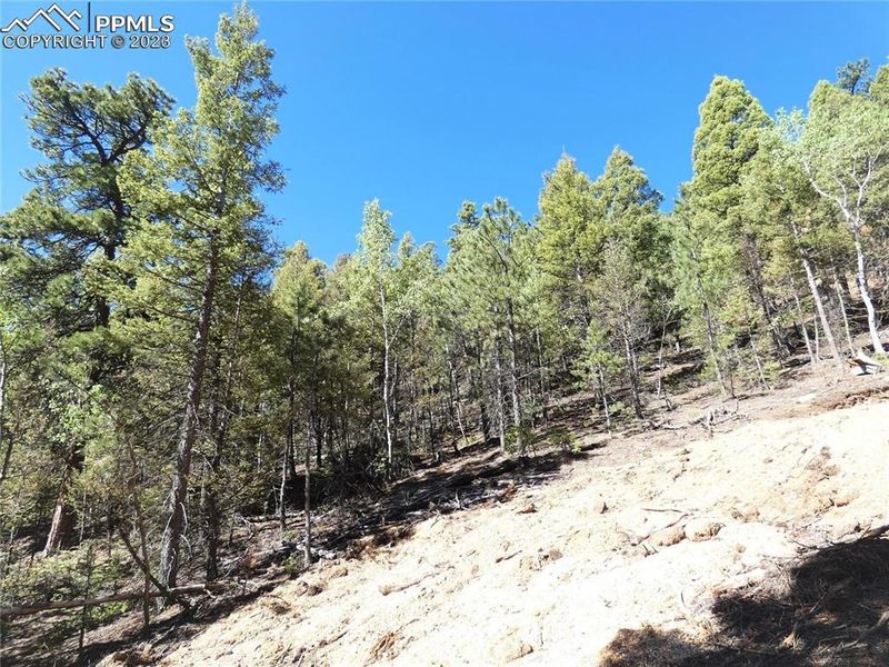 225 Summit Rd, Manitou Springs, CO 80829
