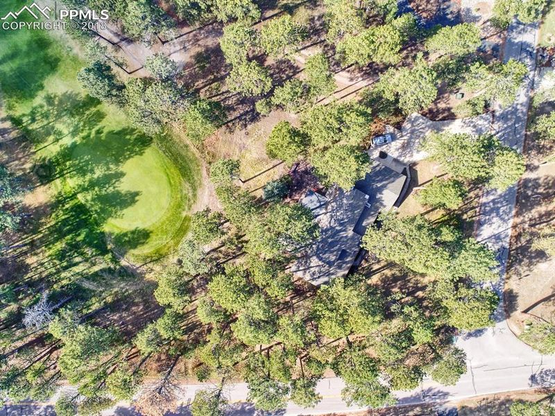 225 Woodmoor Dr, Monument, CO 80132