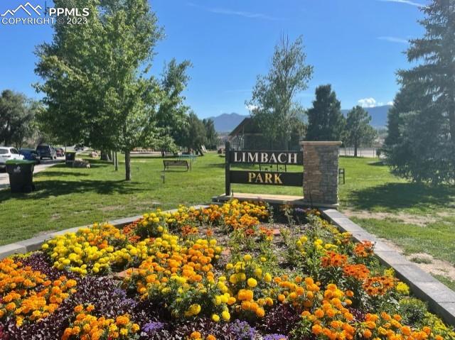 2264 Coyote Mint Dr, Monument, CO 80132