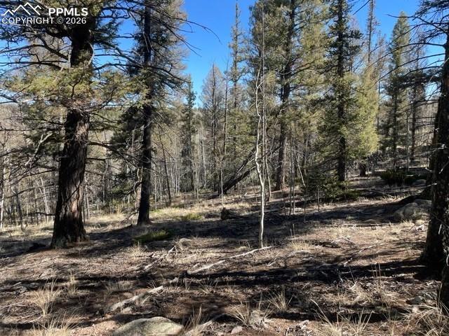 228 Alpine Dr, Florissant, CO 80816