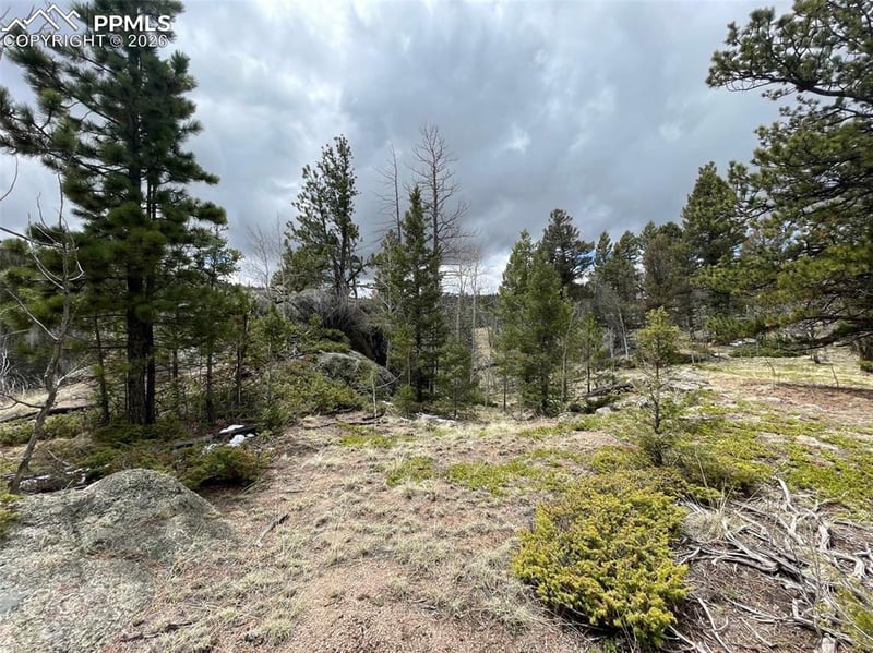228 Alpine Dr, Florissant, CO 80816