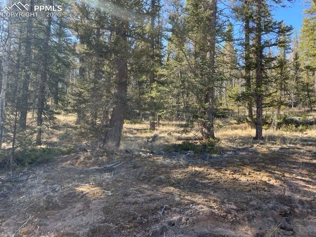 228 Alpine Dr, Florissant, CO 80816